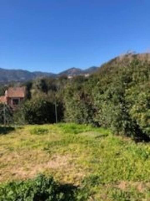 Villa En Corse Du Sud Entre Mer Et Montagne Peri 外观 照片